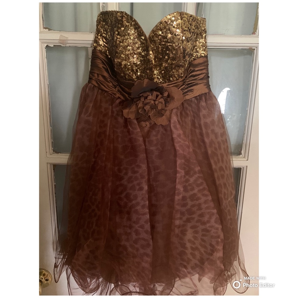 Leopard and Gold Dress